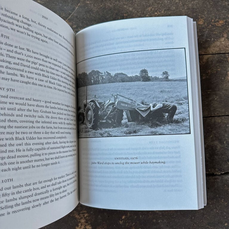 All Around the Year by Michael Morpurgo - Image 2
