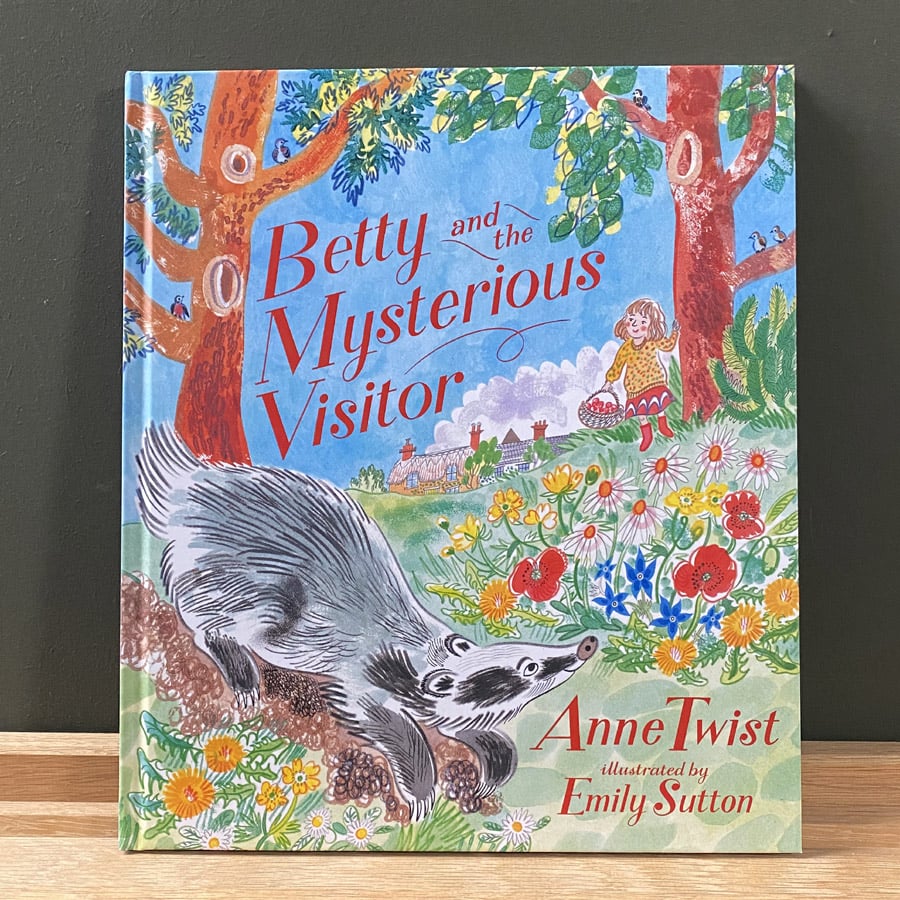 Betty and the Mysterious Visitor by Anne Twist