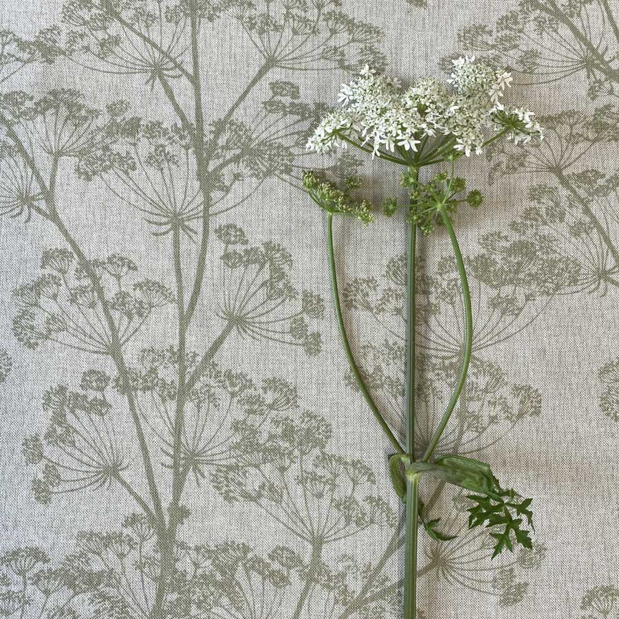 Cow Parsley Print - Sage Green