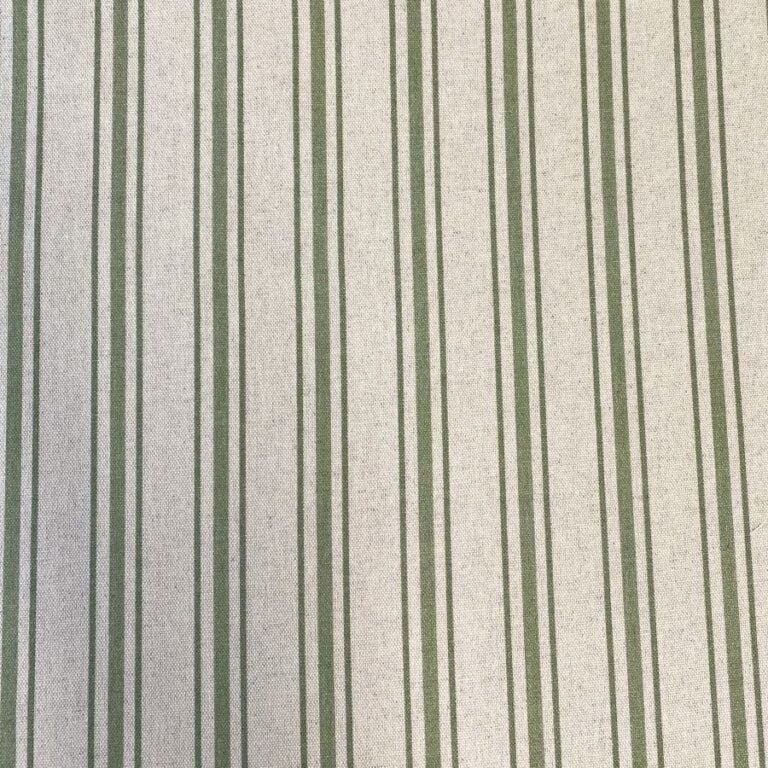 Extra Wide Hendrick Stripe- Spring Green - Image 2