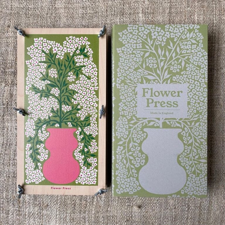 Large Flower Press - Forget Me Not - Image 2