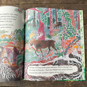 Green, The Story of Plant Life on Our Planet by Nicola Davies - Image 3