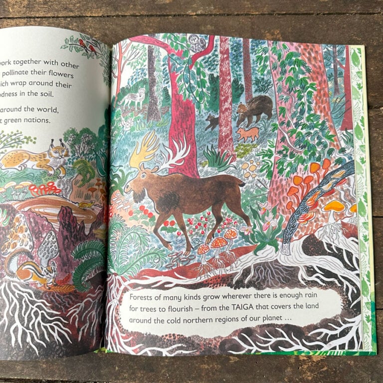 Green, The Story of Plant Life on Our Planet by Nicola Davies - Image 3
