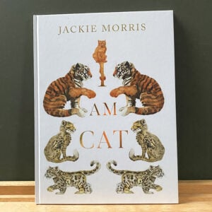I Am Cat by Jackie Morris - Image 1