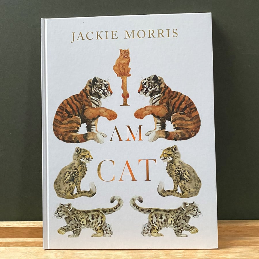 I Am Cat by Jackie Morris