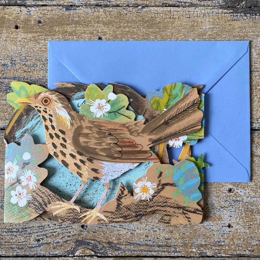 Mark Hearld Fold out Card - Nest