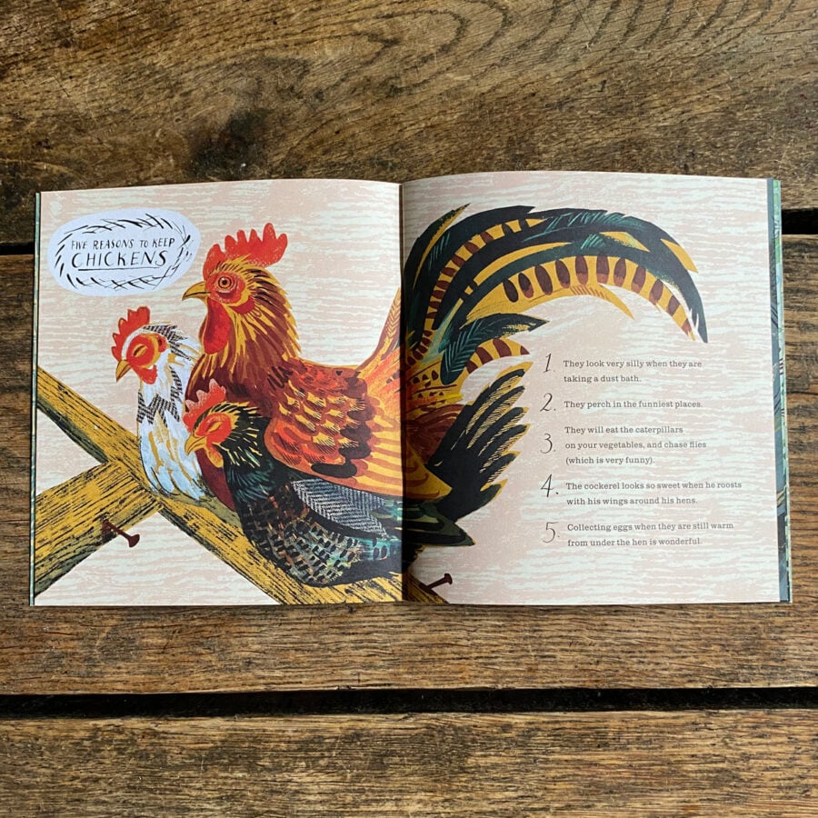 Animal Poems - Nicola Davies & Mark Hearld