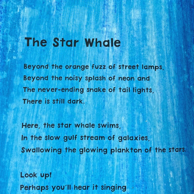 The Star Whale by Nicola Davies and Illustrated by Petr Horáček - Image 3