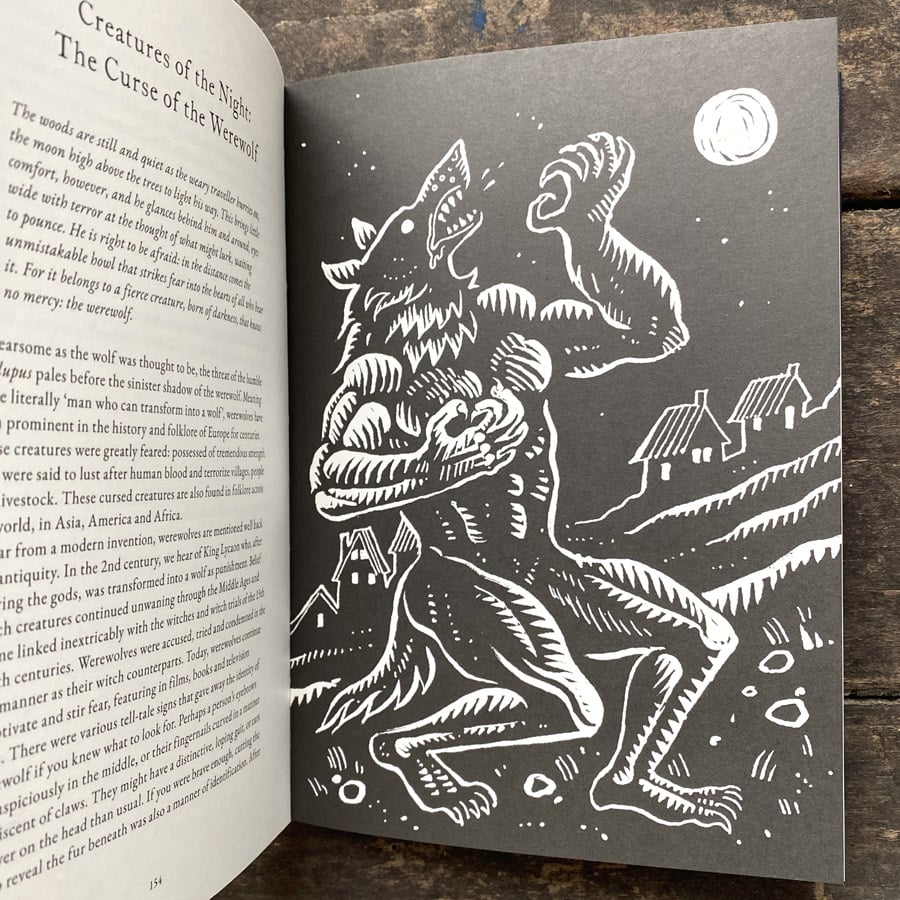 The Treasury of Folklore: Waterlands, Wooded Worlds and Star Skies by Dee Dee Chainey & Willow Winsham