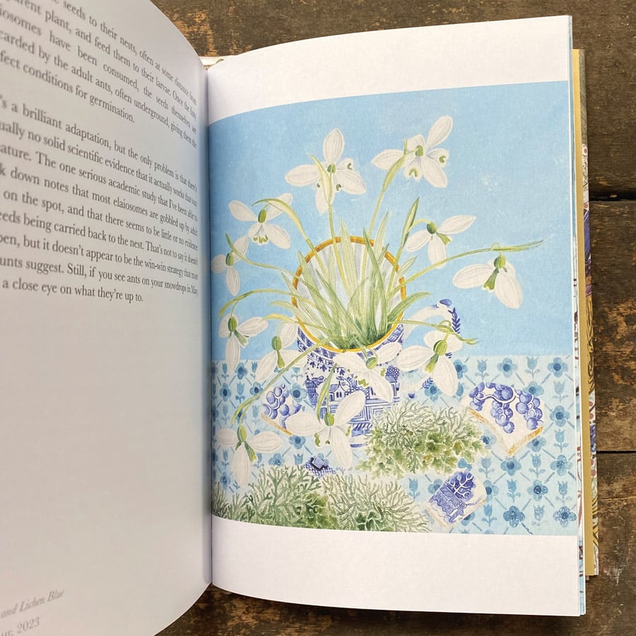 The Book of Wildflowers by Christopher Stocks and Angie Lewin