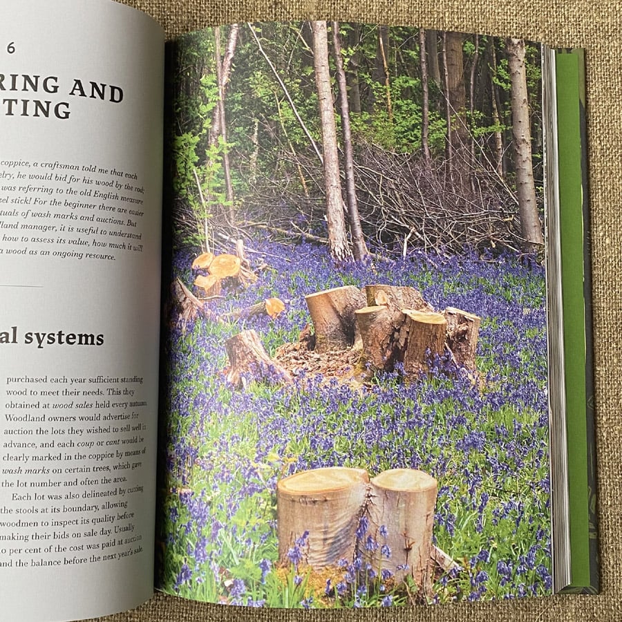 Traditional Woodland Crafts by Ray Tabor