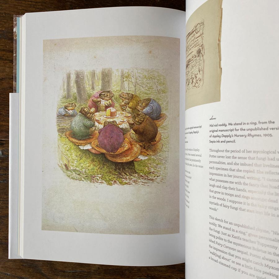 The Art of Beatrix Potter: Sketches, Paintings and Illustrations