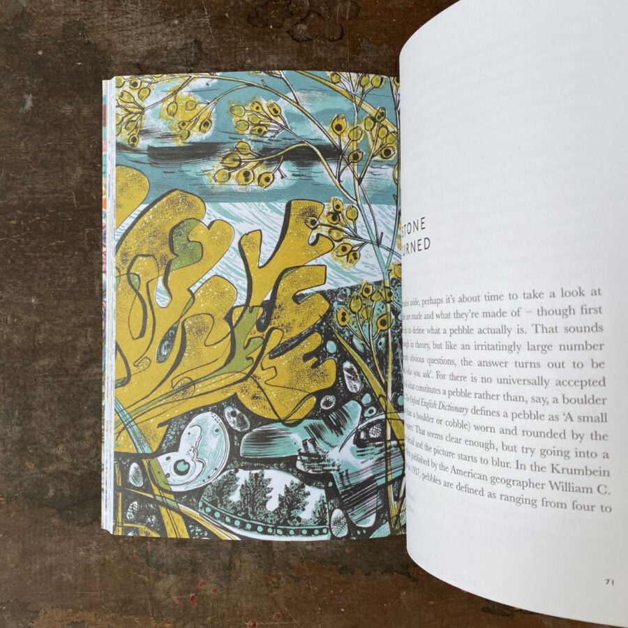 The Book of Pebbles by Christopher Stocks and Angie Lewin