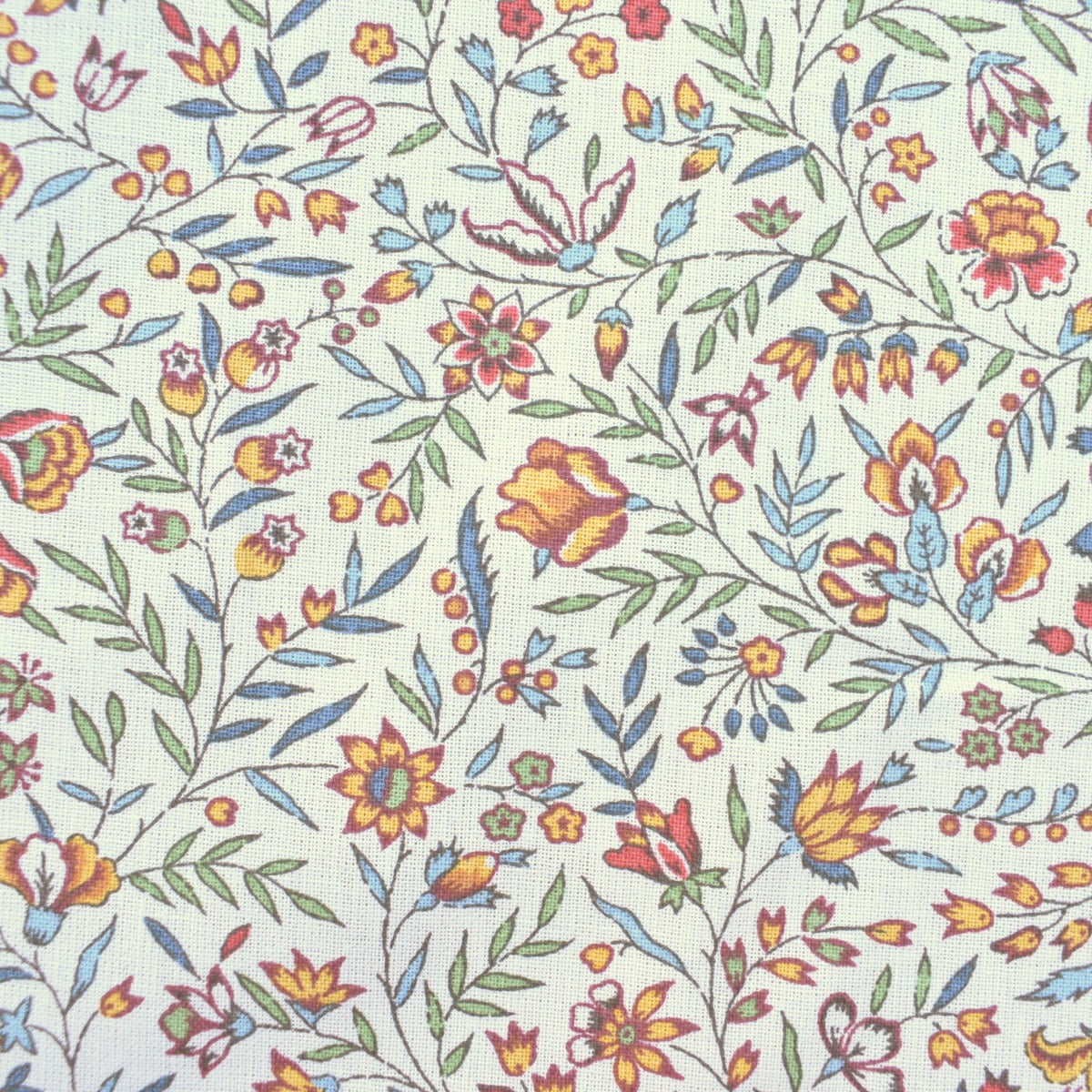 Cotton Frejus - White - Image 2