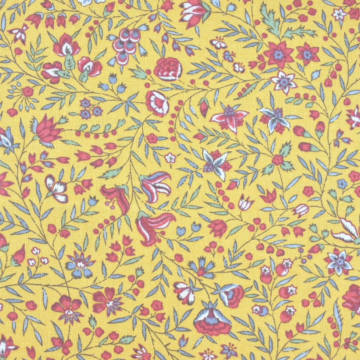 Cotton Frejus - Yellow - Image 2
