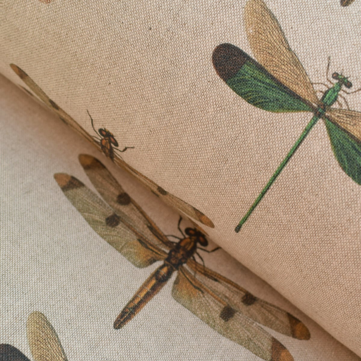 Dragonflies - Image 1
