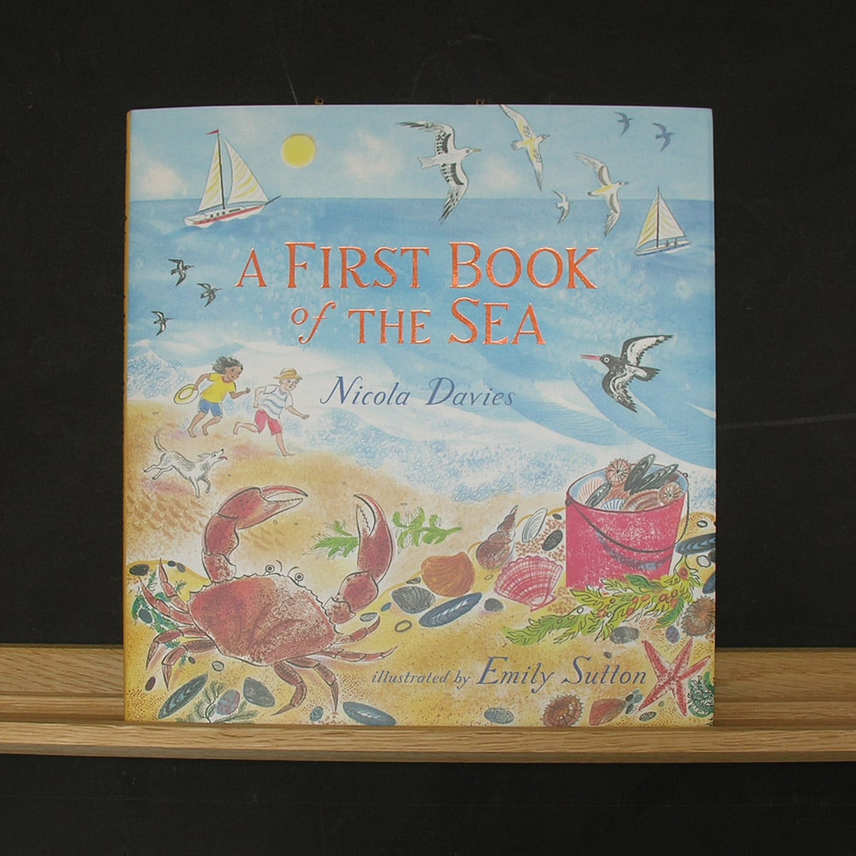 A First Book of the Sea by Nicola Davies - Image 1