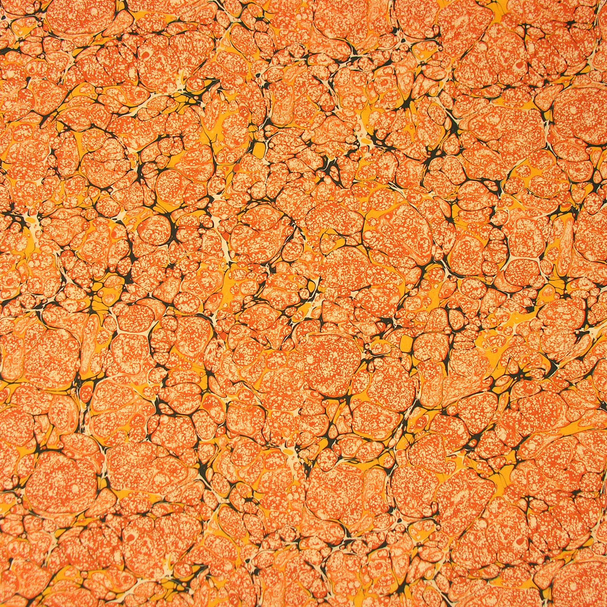 Folio 3 - Marbled Fabric - Image 2