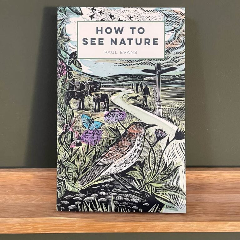 How To See Nature by Paul Evans