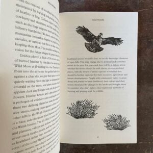 How To See Nature by Paul Evans - Image 3
