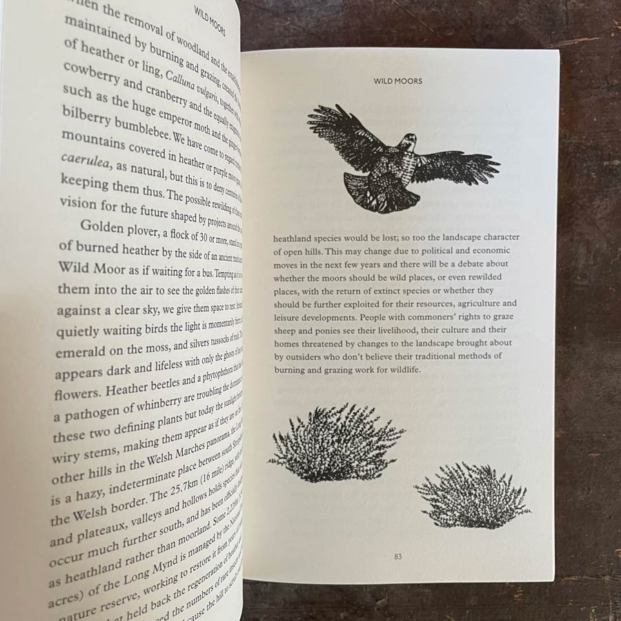 How To See Nature by Paul Evans