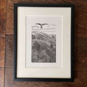 Kestrel by Charles Tunnicliffe - Image 4