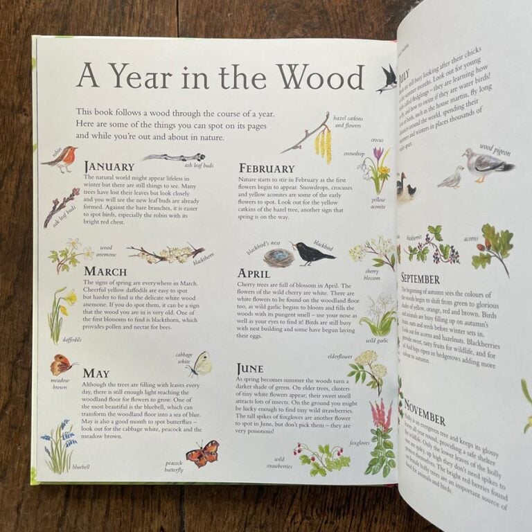 Mouse's Wood by Alice Melvin - Image 5