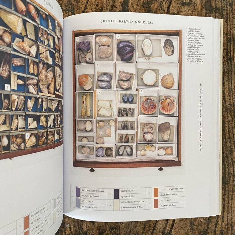 Nature's Palette: A Colour Reference System From the Natural World - Image 4