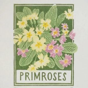 Primroses by Sophie Elm - Image 1