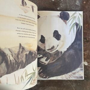 Something About A Bear by Jackie Morris - Image 4