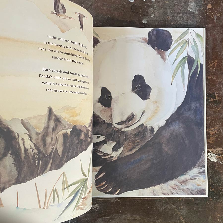 Something About A Bear by Jackie Morris