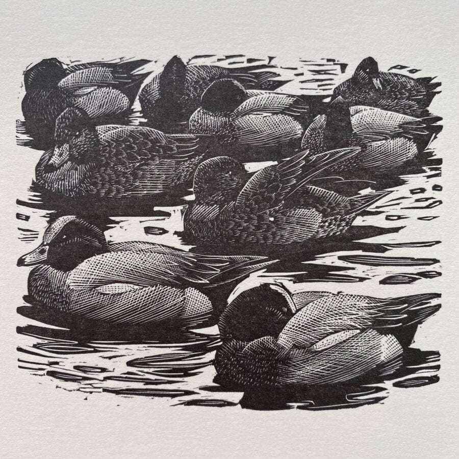 Tunnicliffe Notelet Set