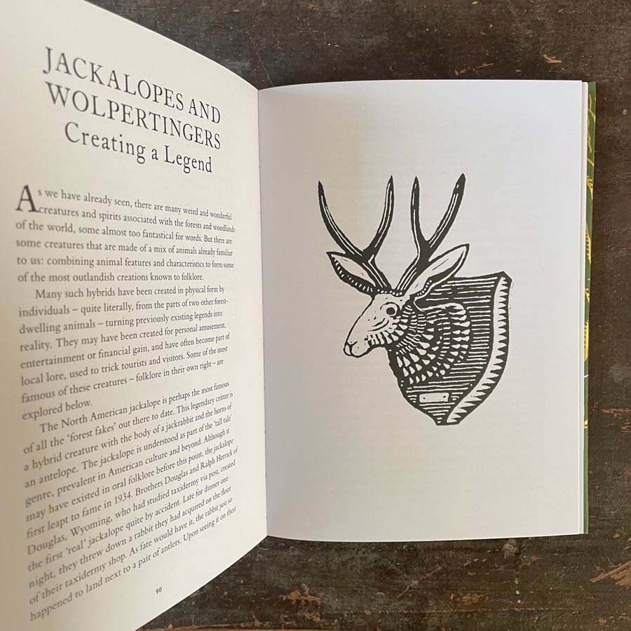 Treasury of Folklore: Woodlands & Forests by Dee Dee Chainey & Willow Winsham