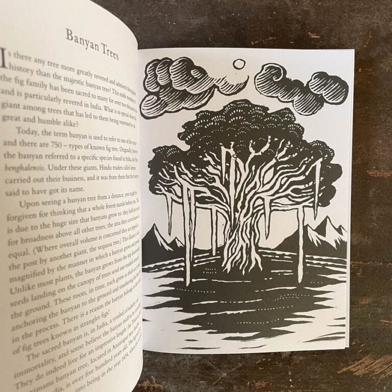Treasury of Folklore: Woodlands & Forests by Dee Dee Chainey & Willow Winsham - Image 2
