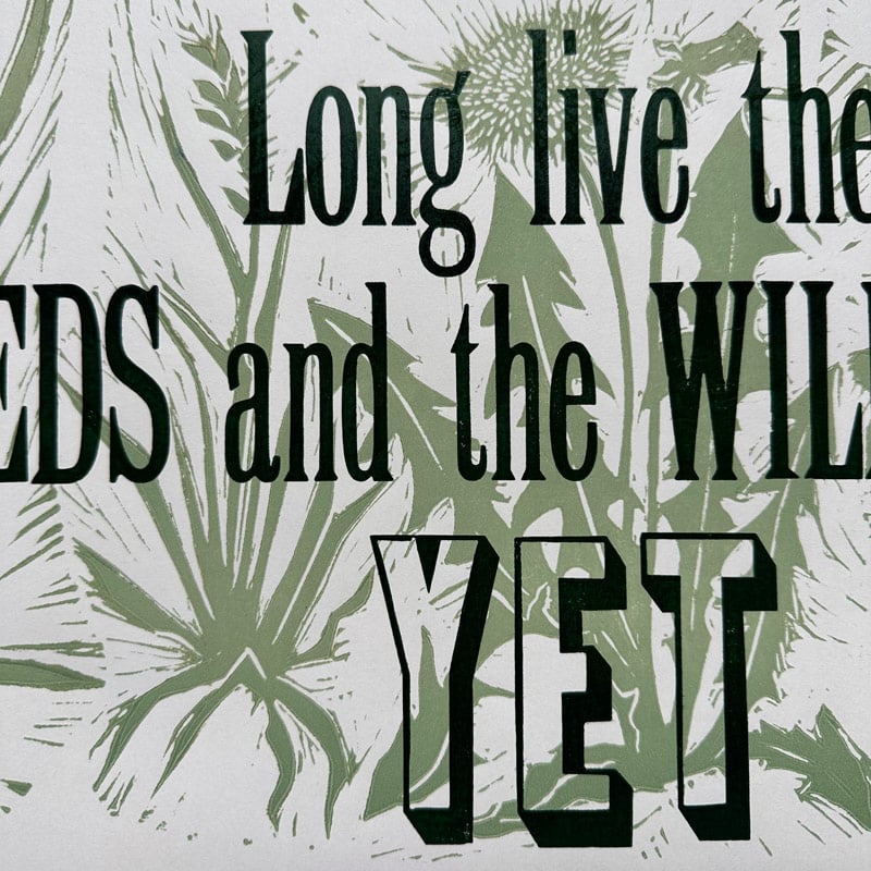 Wildness, Letterpress Poster