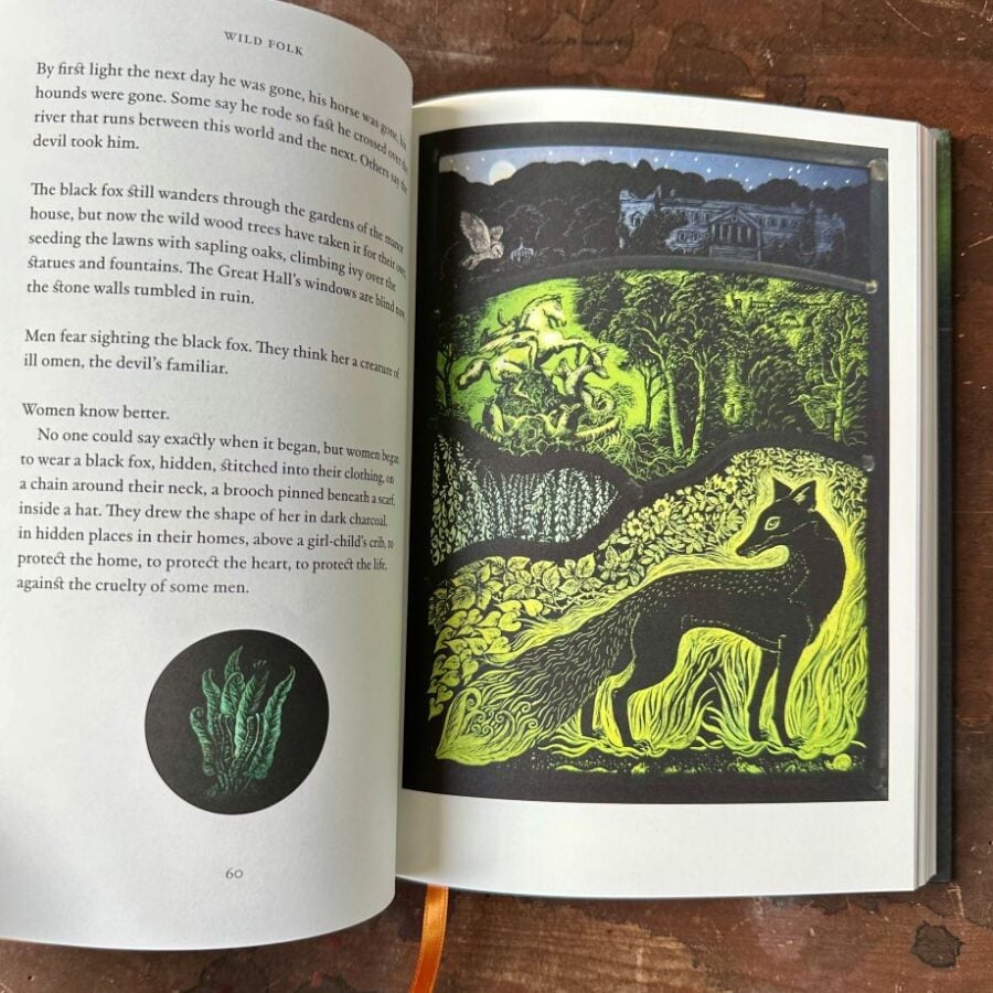 Wild Folk, Tales from the Stones by Jackie Morris & Tamsin Abbott