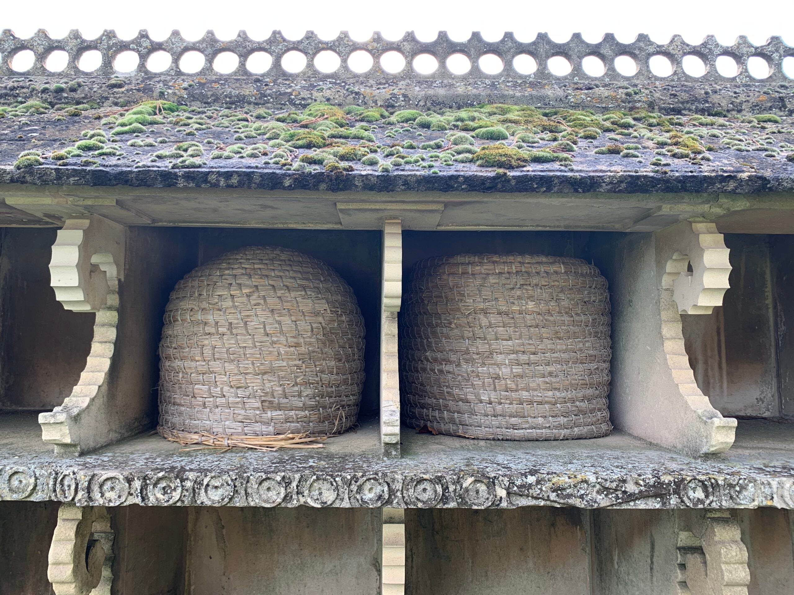 wicker skeps