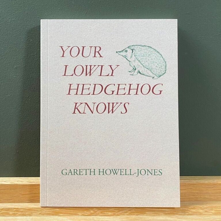 Your Lowly Hedgehog Knows by Gareth Howell-Jones
