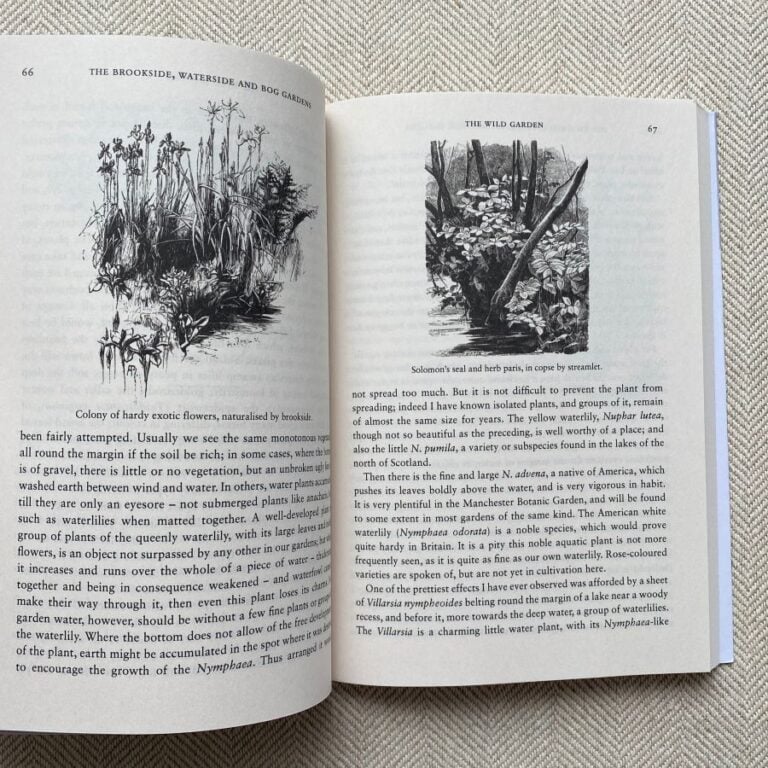 The Wild Garden by William Robinson - Image 4