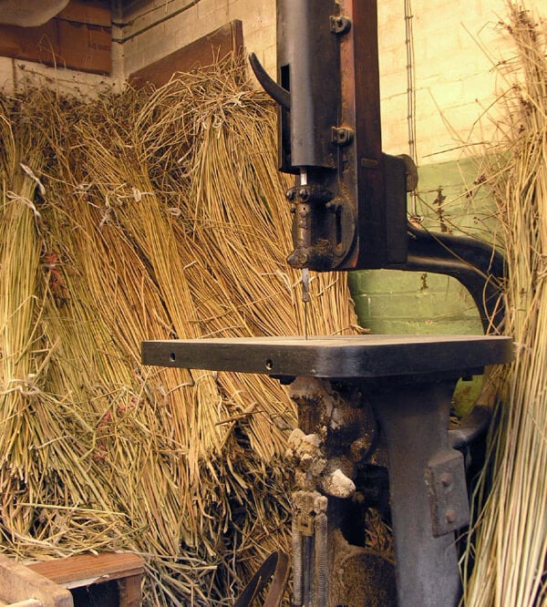 Bundles of Rushes for Seating