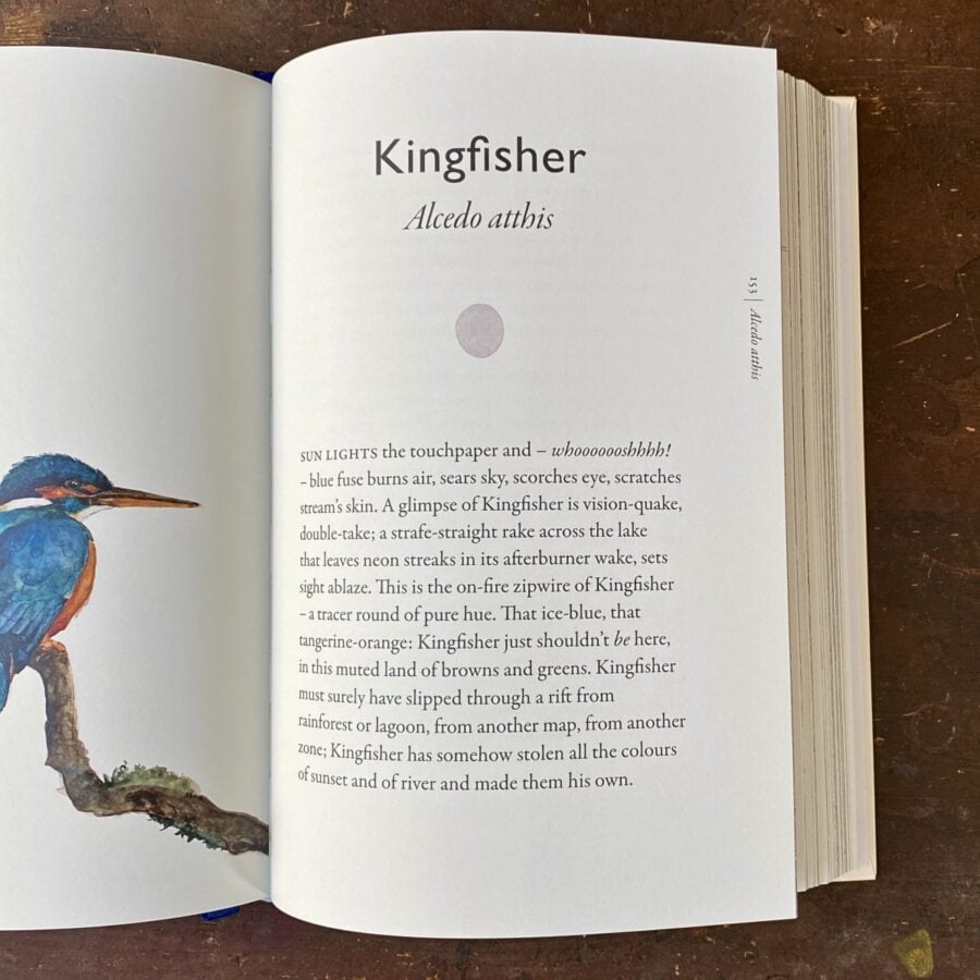 Book of Birds by Jackie Morris & Robert MacFarlane