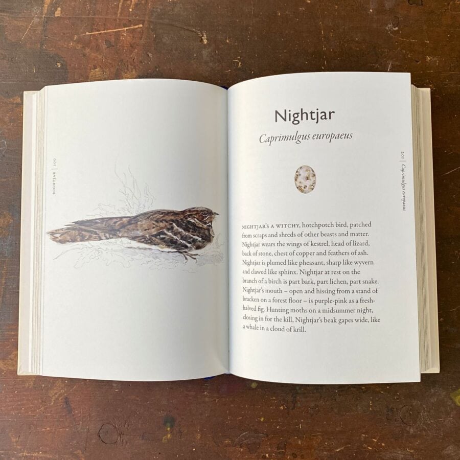 The Book of Birds by Jackie Morris & Robert MacFarlane
