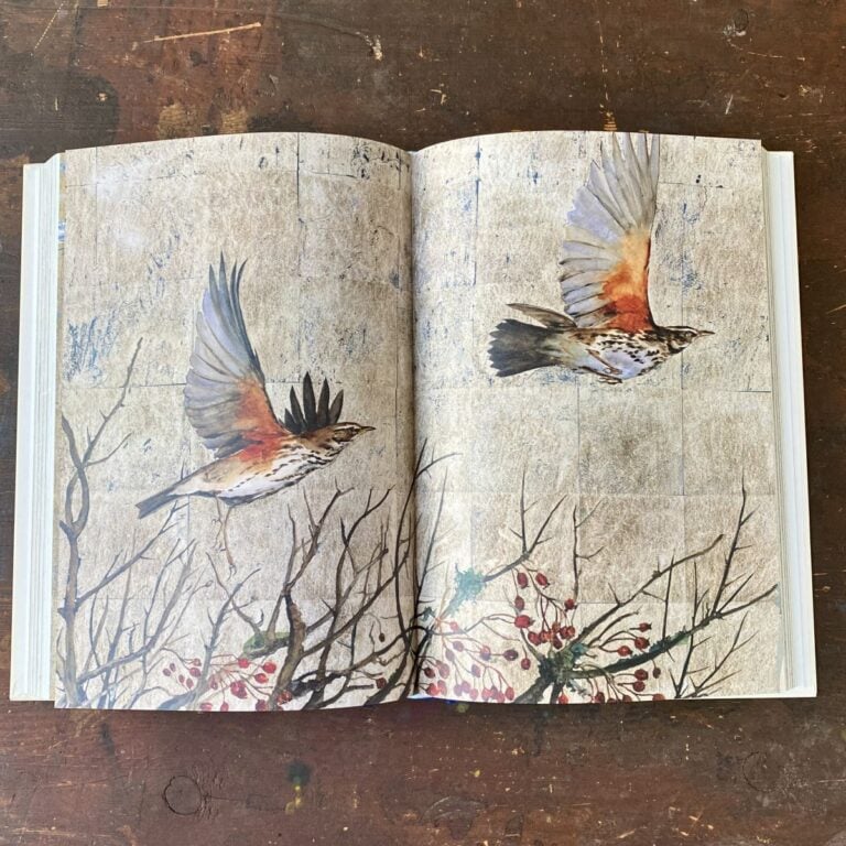 Book of Birds by Jackie Morris & Robert MacFarlane