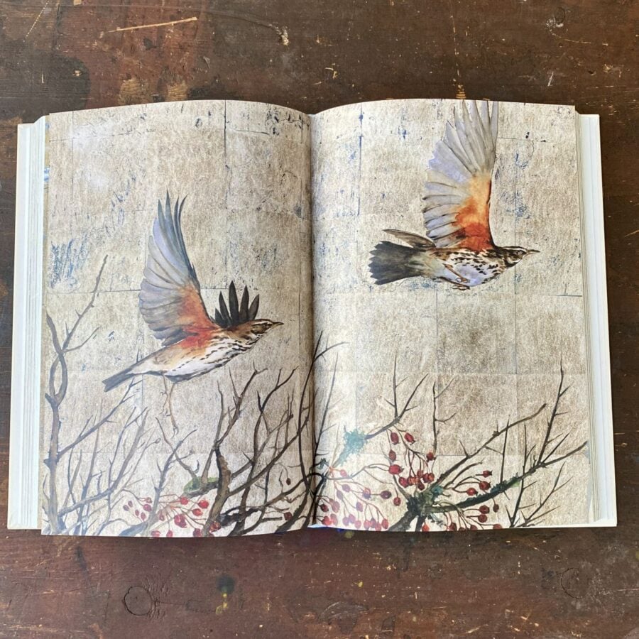 Book of Birds by Jackie Morris & Robert MacFarlane