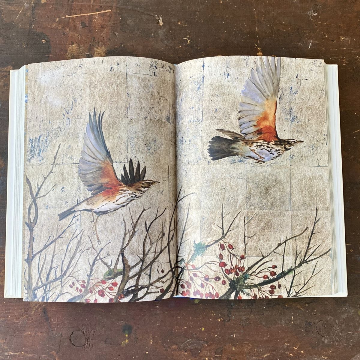 Book of Birds by Jackie Morris & Robert MacFarlane