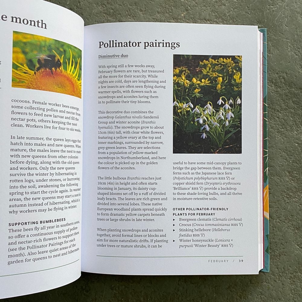 RHS Garden Almanac 2027 - Image 4