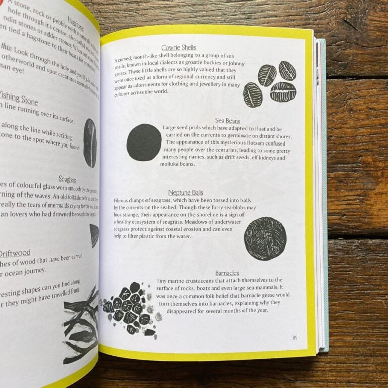 Seasonal Folklore book by Morvern Graham