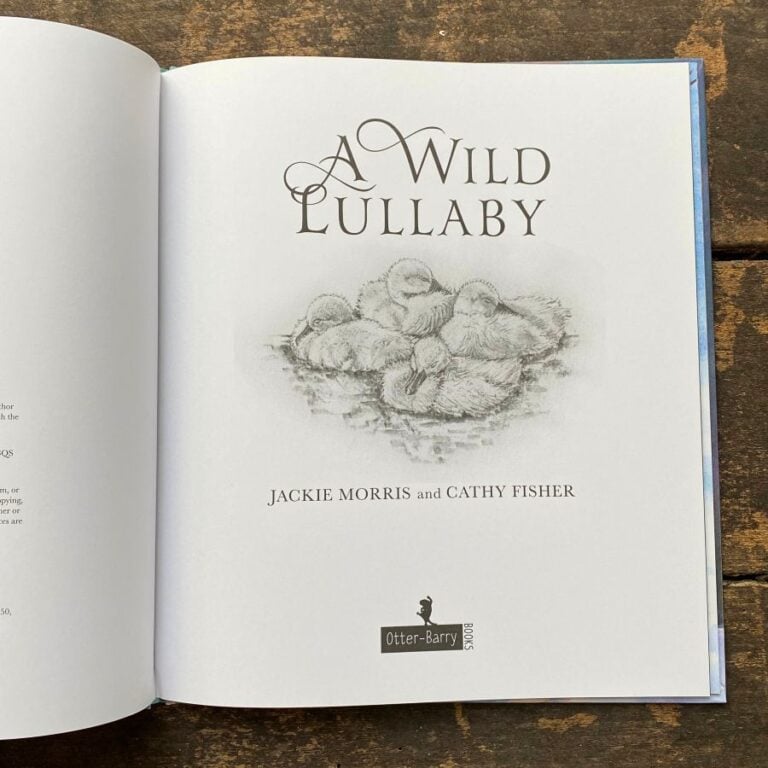 A Wild Lullaby by Jackie Morris and Cathy Fisher - Image 3