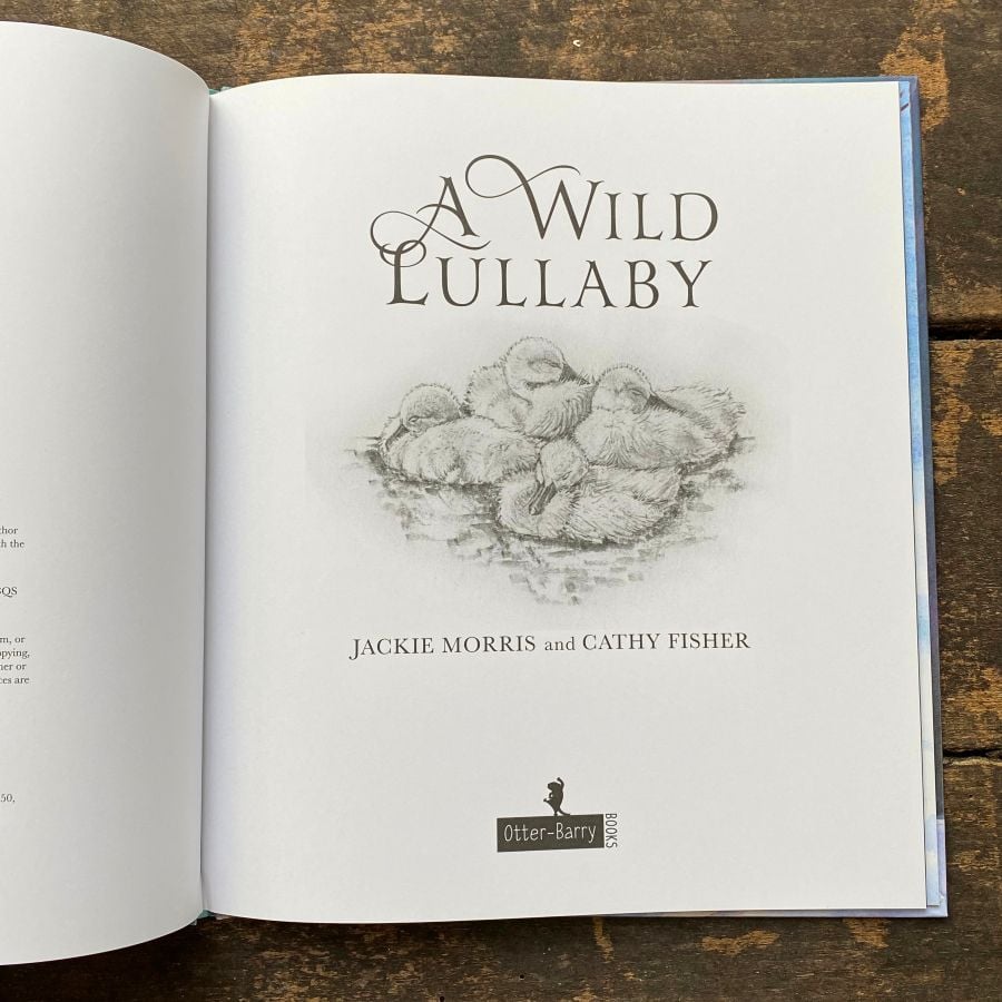 A Wild Lullaby by Jackie Morris and Cathy Fisher