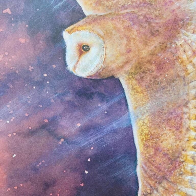 A Wild Lullaby by Jackie Morris and Cathy Fisher - Image 2